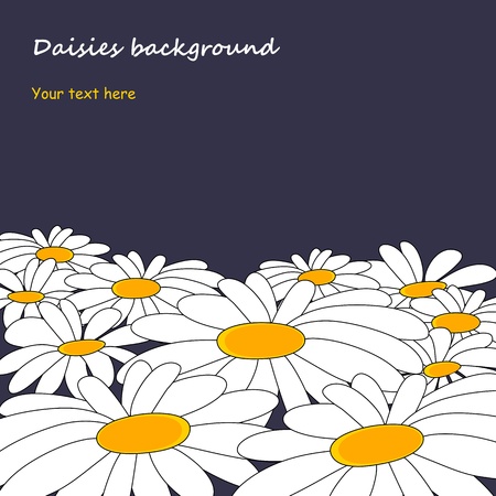 daisies backgroundのイラスト素材