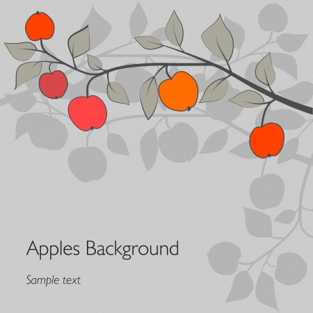 apples on a branchのイラスト素材