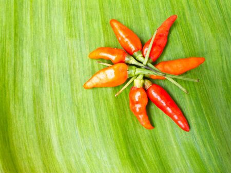 hot peppers in  banan leafの写真素材