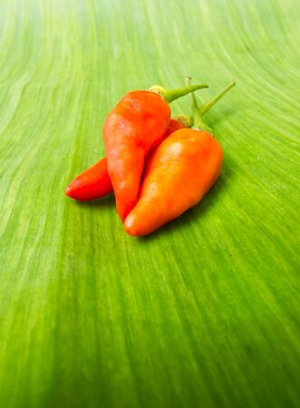 a hot peppers in  banan leafの写真素材