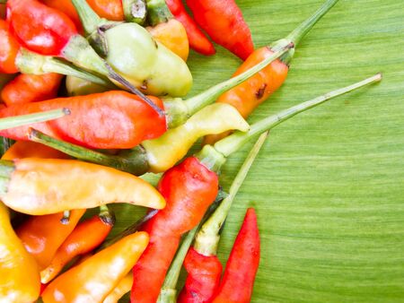 hot peppers in  banan leafの写真素材