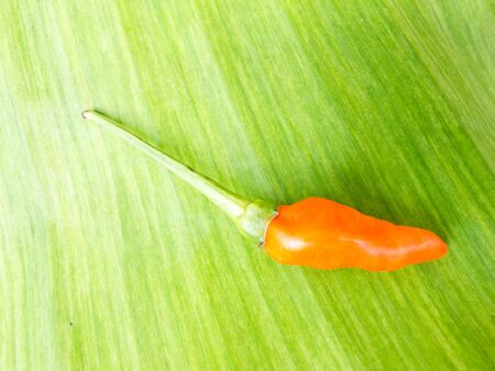 a hot peppers in  banan leafの写真素材