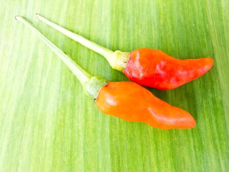 two hot peppers in  banan leafの写真素材