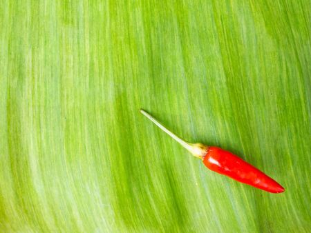 a hot peppers in  banan leafの写真素材