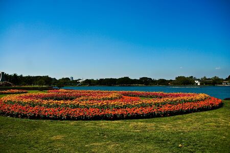 flower garden at Suan Luang Rama 9 Thailandの写真素材