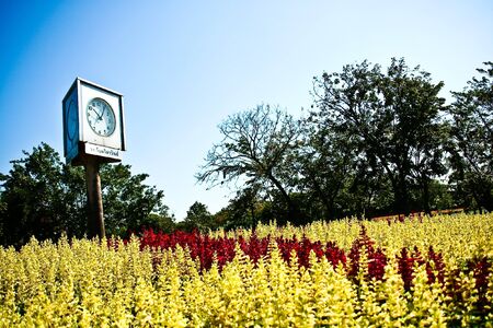 flower garden at Suan Luang Rama 9 Thailandの写真素材