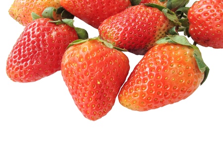 many strawberries isolated の写真素材