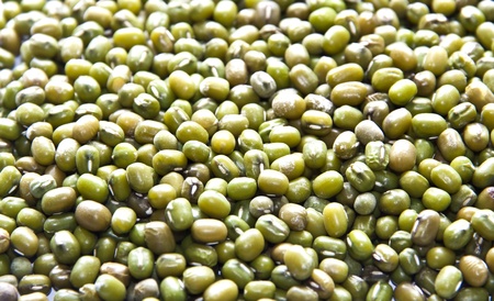 isolated macro of green beanの写真素材