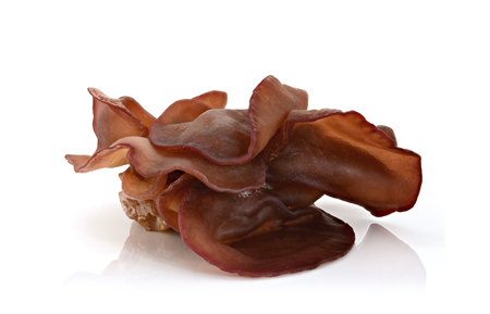 Ear mushroom or jews ear on white backgroundの写真素材