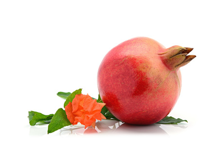 Close-up of indian pomegranate on a white background with pomegranate flower and leafの写真素材