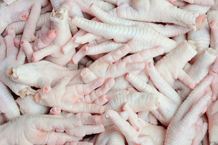 Uncooked chicken feet for food market backgroundの写真素材