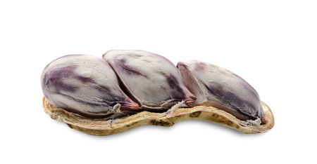 groundnut isolated on white background with clipping path