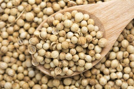 Closeup for dried coriander seeds on wooden spoonの写真素材