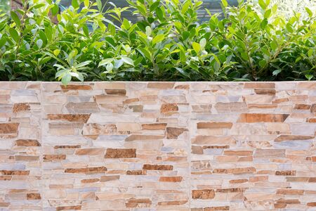 Decorative garden on a brick stone as texture backgroundの写真素材