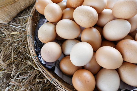 Hen eggs basket on straw - fresh farmer's eggs - closeup