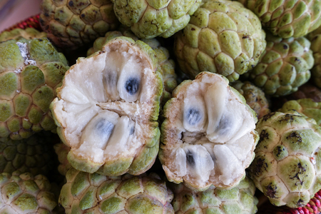 custard apple fruit - closeupの写真素材