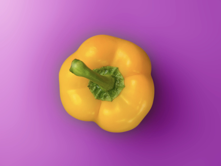 Yellow bell pepper isolated on purple background withの写真素材