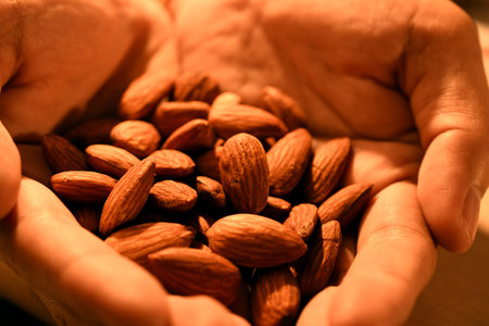 Organic raw almond healthy snack vegan vegetarian on hand - close-upの写真素材