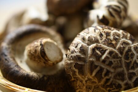 Close-up of Mushrooms in a basketの写真素材