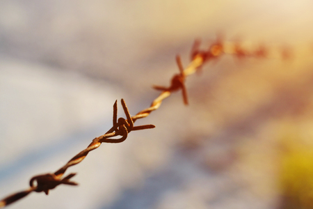 A single rusty barbed wire on blurred backgroundの写真素材