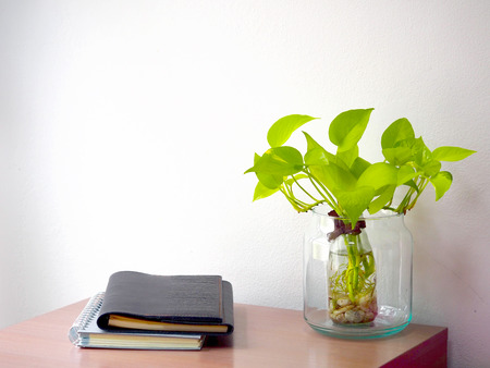 Tow nootbooks and Golden pothos (Epipremnum  aureum) in a glass container on the deskの写真素材
