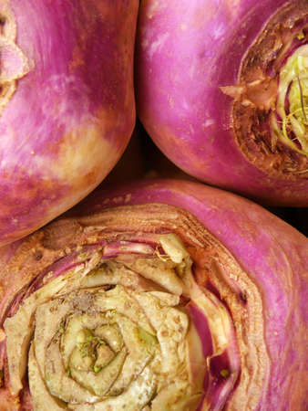 Ripe turnip vegetable close-up. Macroの写真素材