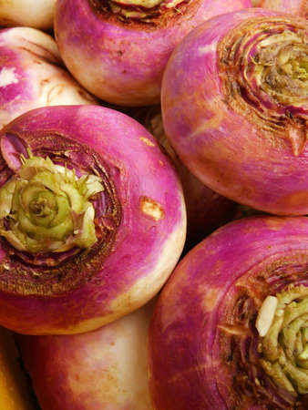 Ripe turnip vegetable close-up. Macroの写真素材