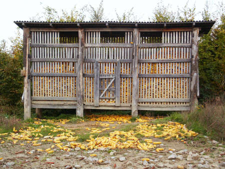 Wild animals feeder in forestの写真素材