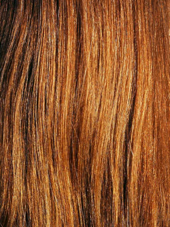 Brown hair on sun detail. Macroの写真素材