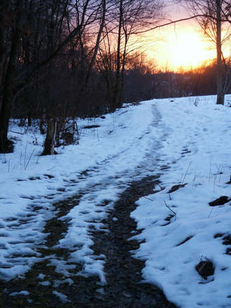 Snow road in winter during sunsetの写真素材