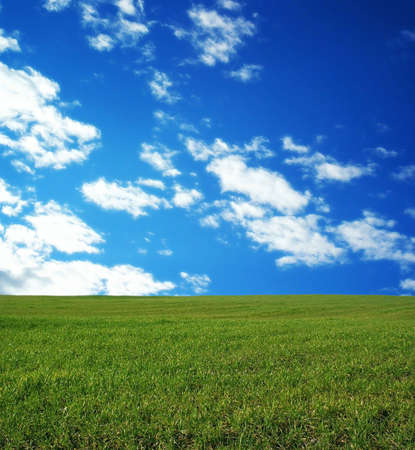 Wheat field over beautiful blue sky 10の写真素材