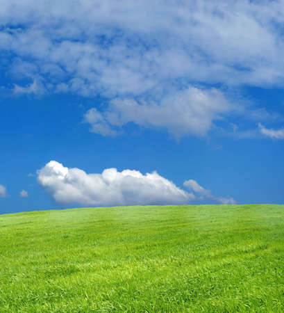 Wheat field over beautiful blue sky XXLの写真素材