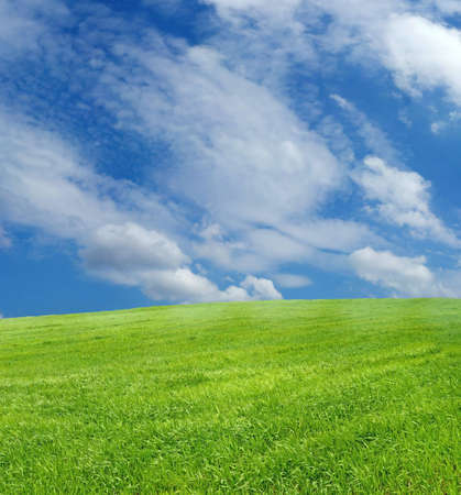Wheat field over beautiful blue sky XXLの写真素材