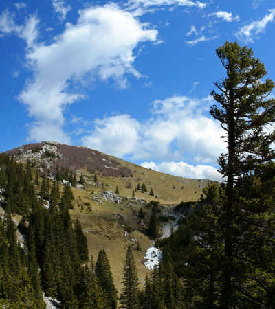 Mountain scene, Velebit, Croatiaの写真素材