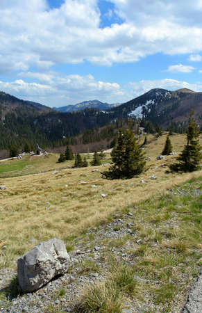 Mountain scene, Velebit, Croatiaの写真素材