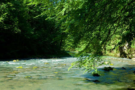 The source of the river Kupa in forest, Croatiaの写真素材
