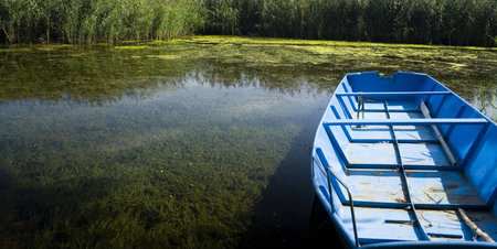 Boat detail in pond, River Drava, Croatia