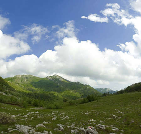 Mountain scene during spring, Velebit, Croatiaの写真素材