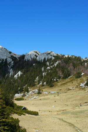 Mountain scene, Velebit, Croatiaの写真素材
