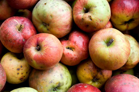 Organic apples backgroundの写真素材