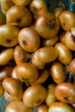 Bundle of onions backgroundの写真素材