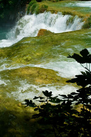 Beautiful forest waterfall detailの写真素材