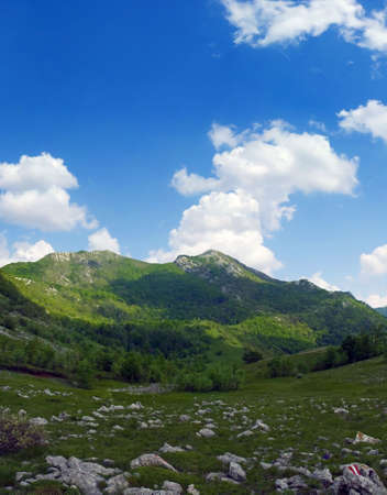 Mountain scene during sunny day, Velebit, Croatiaの写真素材