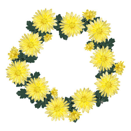 Wreath, frame of their yellow chrysanthemums on a white backgroundのイラスト素材
