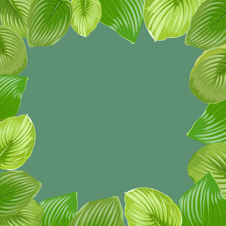 Square frame made of hosta leaves on a green background