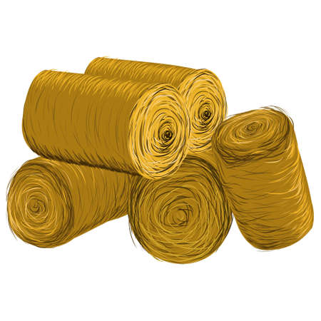 Isolated image of hay bales, straw on white backgroundのイラスト素材
