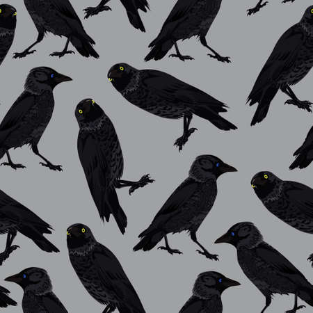 Seamless pattern with crows in different angles on a gray backgroundのイラスト素材