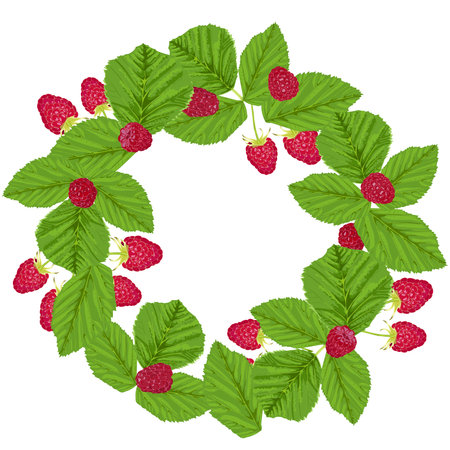 Round wreath, frame of raspberries and green leaves on a white backgroundのイラスト素材