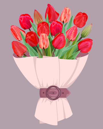 Bouquet of red tulips in powder paper with a strap on a lilac backgroundのイラスト素材