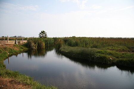 Streamの写真素材